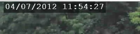 A timestamp with a shaded background, easier to read over the trees behind it.