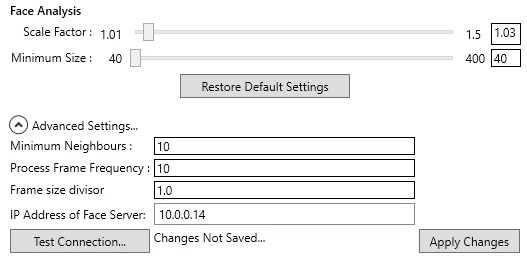 The Face Analysis settings: scale factor, minimum size and advanced settings including the face server address.
