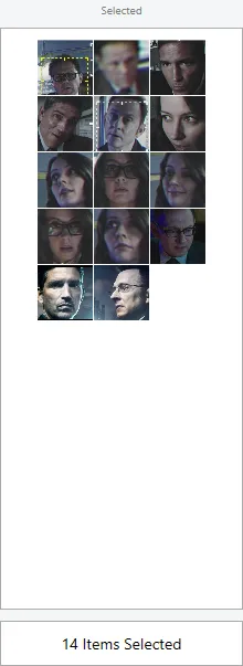 The Selected panel showing 14 selected face results together.