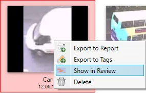 The right-click menu on a grid result: Export to Report, Export to Tags, Show in Review and Delete.