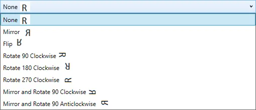 The Rotate View drop-down listing mirror, flip and rotation options, each with a preview of the letter R.