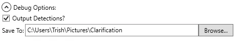 The Debug Options with Output Detections ticked and a folder to save the images to.