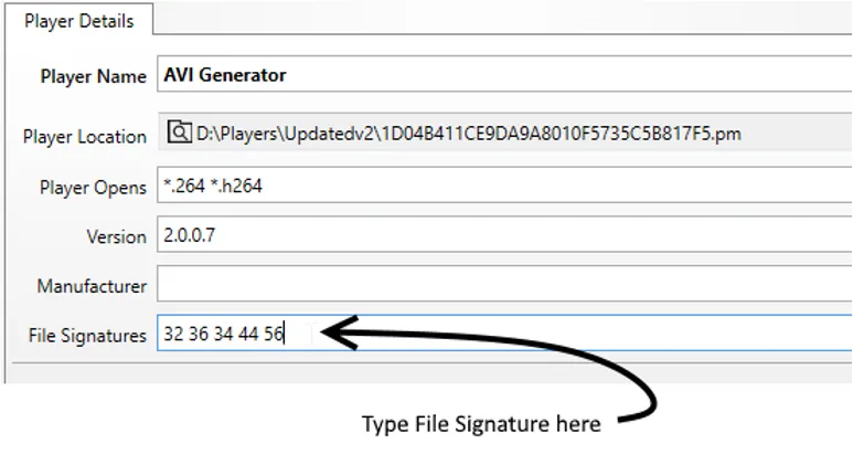 The Player Details panel with a hex file signature typed into the File Signatures box.